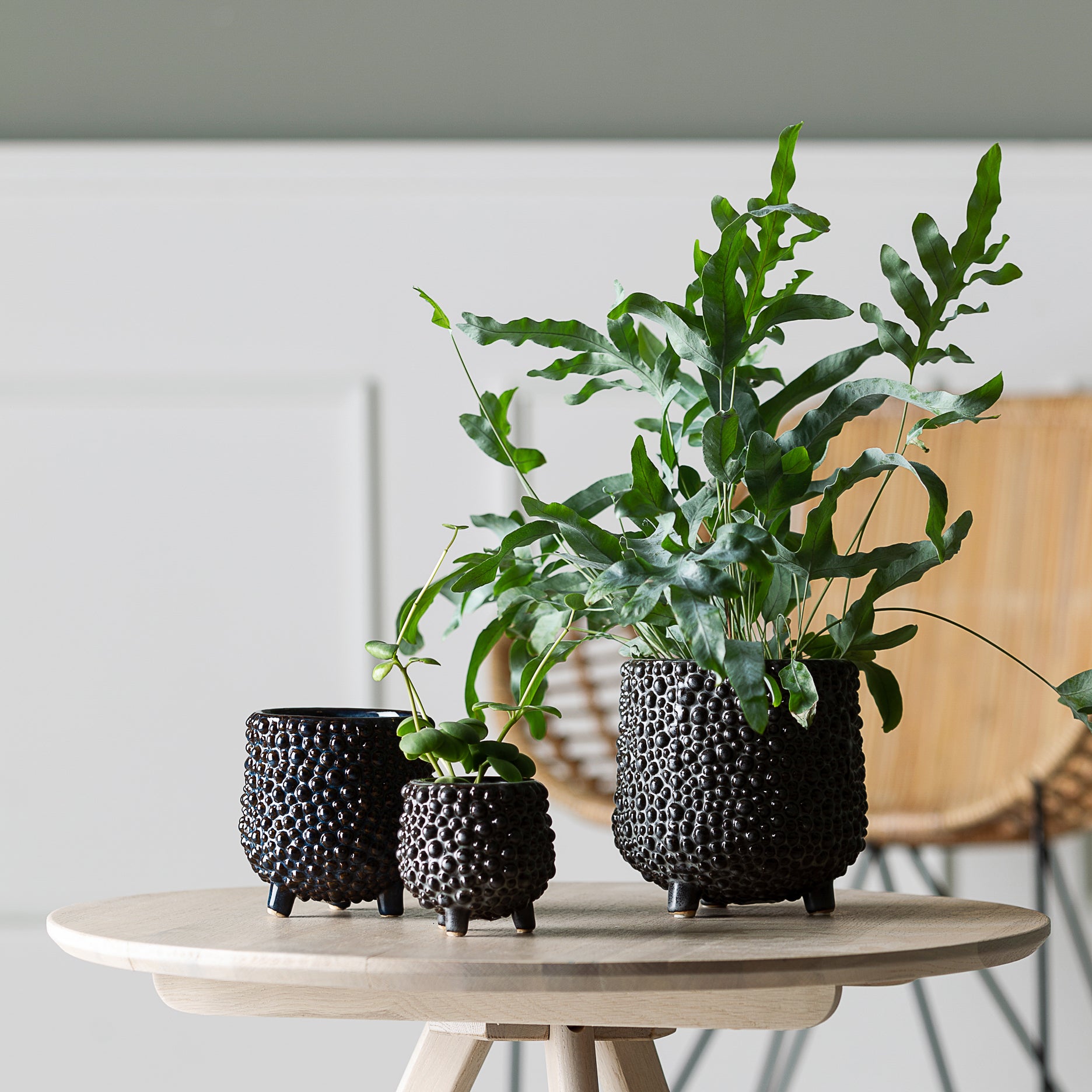 Dots Steingut-Blumentopf